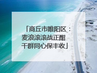 商丘市睢阳区：麦浪滚滚战正酣 干群同心保丰收